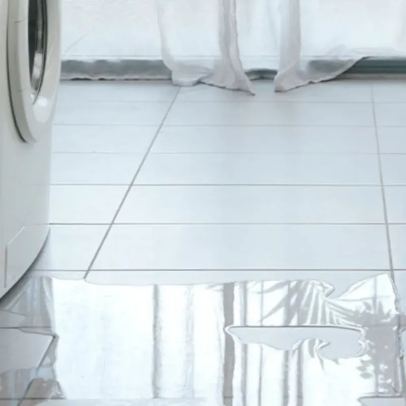 Appliance Leak Cleanup in Ashland, MA