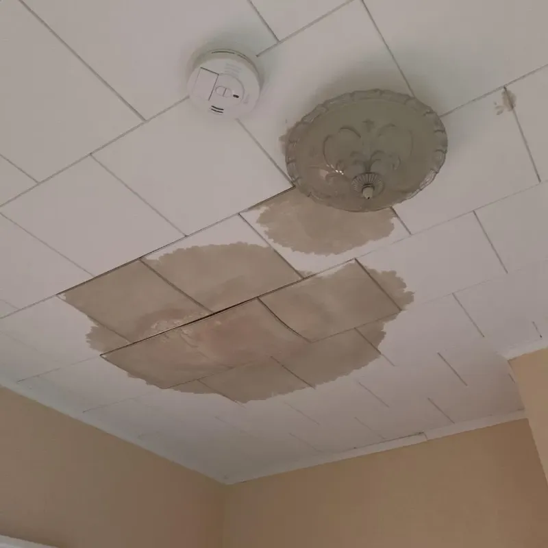 Ceiling Water Damage Repair in Ashland, MA