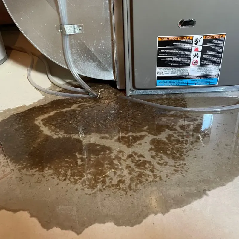 Pipe Burst and Leak Restoration in Ashland, MA