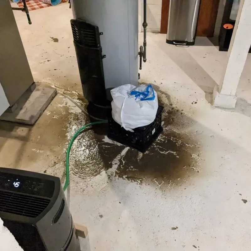 Sewage Backup Cleanup Service in Ashland, MA